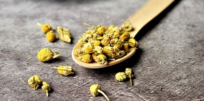 Experience the Wellness Benefits of Chamomile Manzanilla Tea